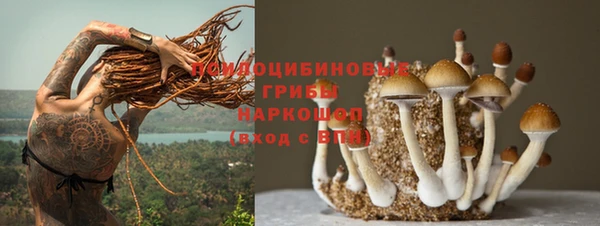кокс Аркадак