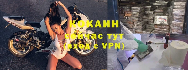 шишки Балахна