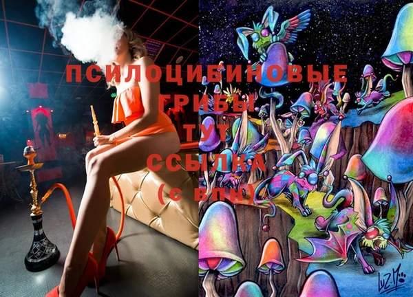 2c-b Арсеньев