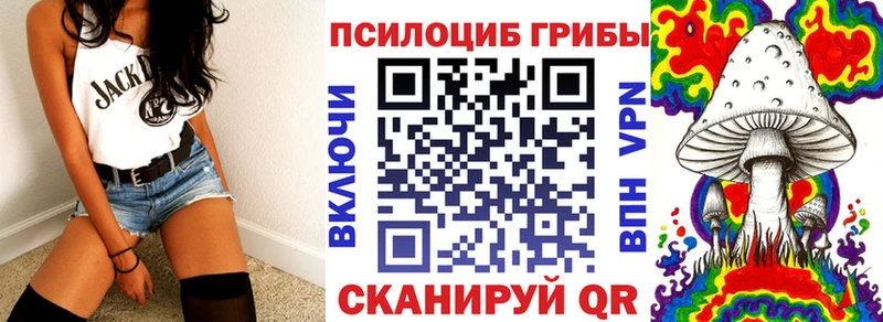 купить наркоту  omg зеркало  Псилоцибиновые грибы Cubensis  мориарти официальный сайт  Севск 